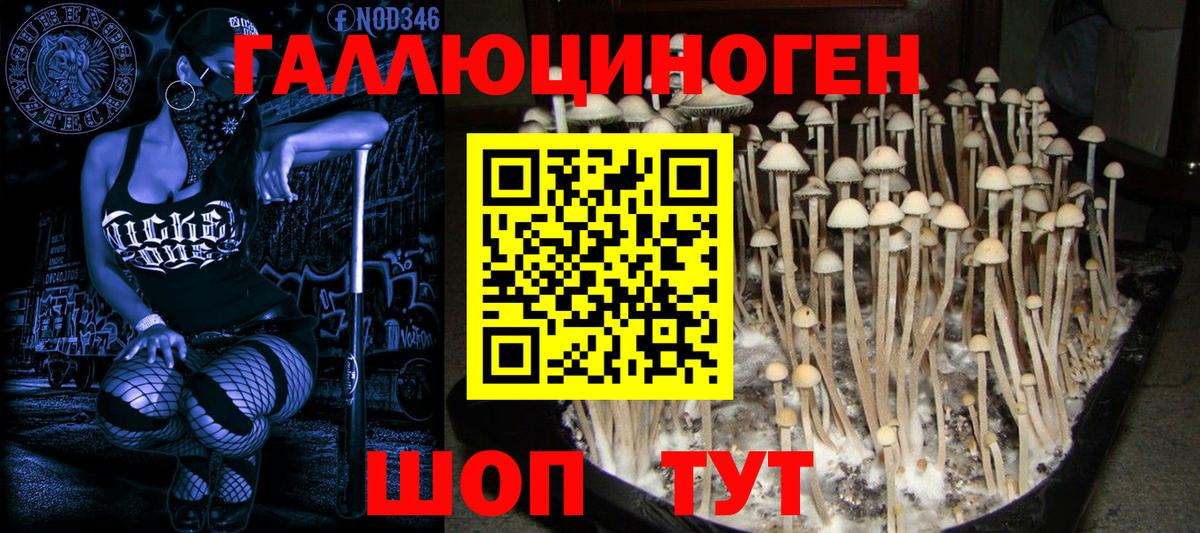 Галлюциногенные грибы ЛСД Амурск