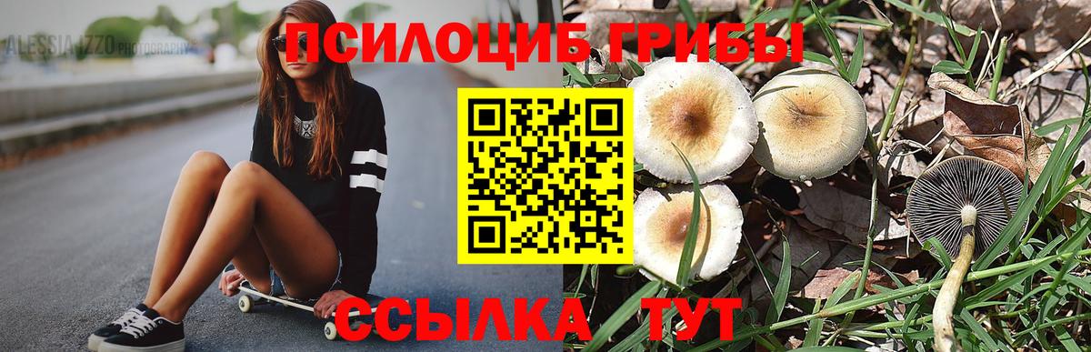 Галлюциногенные грибы мухоморы  Вход с VPN  Амурск 